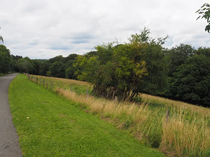 Coulnifontaine (Belgium) (confluence western and eastern Ourthe)